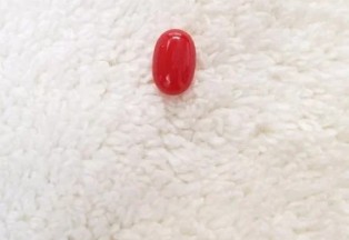 Natural Red Coral Gemstone (Moonga) - 12 Carat ( Rs 1,350 / Carat)